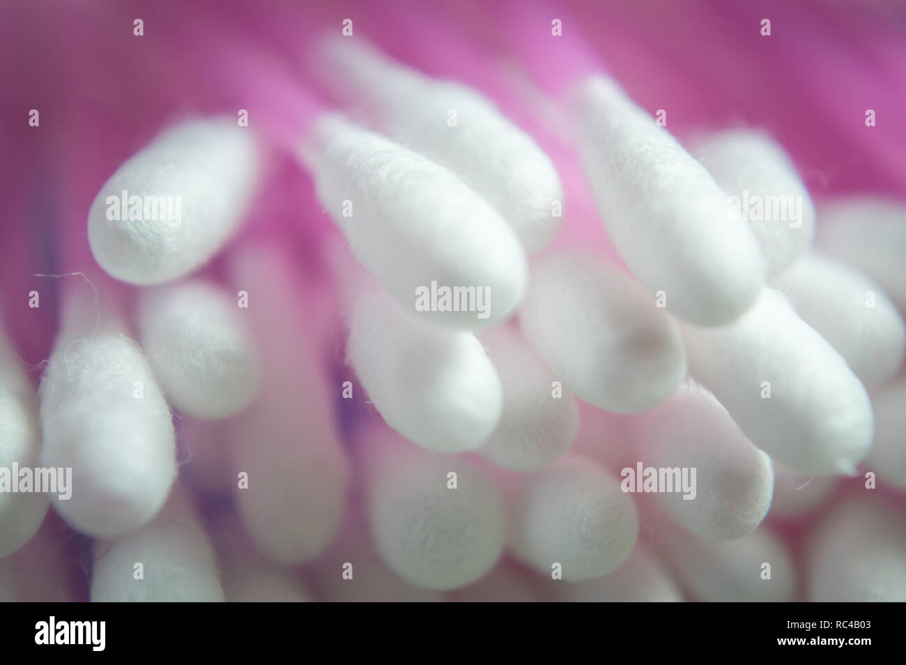 Close up of cotton swabs used for cleaning ears. Ear buds for hygeine