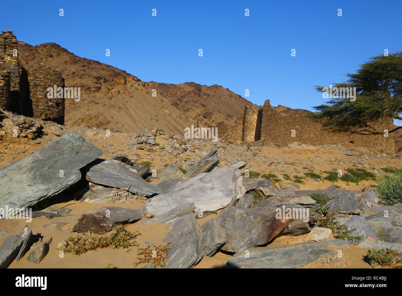 in africa sudan berenice the antique temple of the black pharaohs in