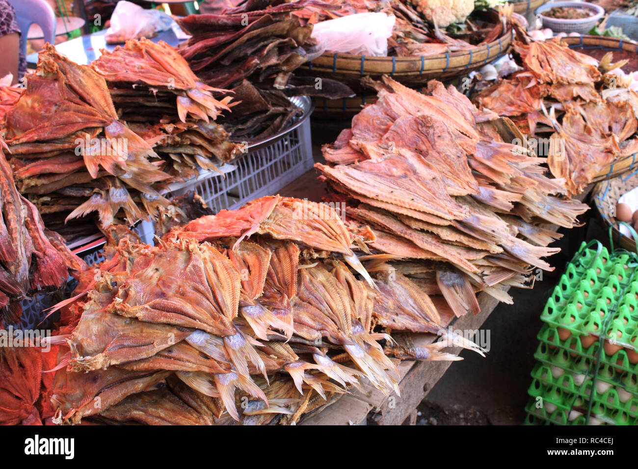 Freshwater fish of myanmar hi-res stock photography and images - Alamy