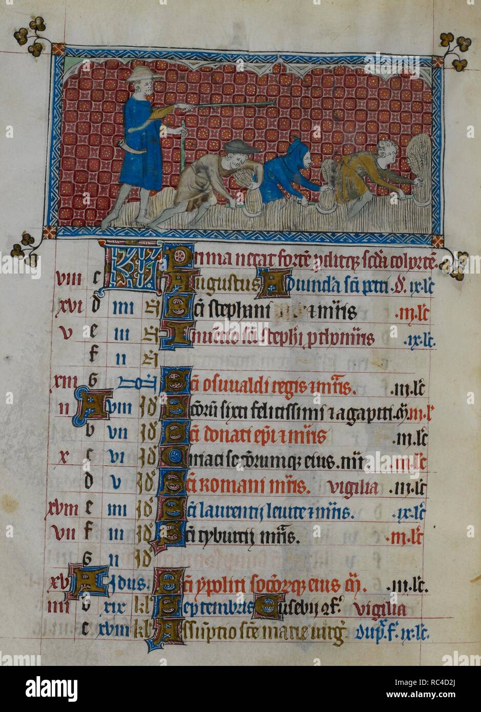Calendar scene for August showing three men reaping, with a farmer directing them. Queen Mary Psalter. England (London?); circa 1310-1320. Source: Royal 2 B. VII, f.78v. Language: Latin. Stock Photo