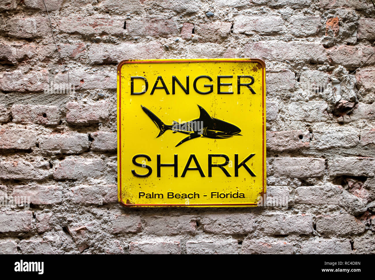 Yellow square metal Danger Shark sign with black shark silhouette image viewed in close-up and full frame on old brick wall. Palm Beach, Florida Stock Photo