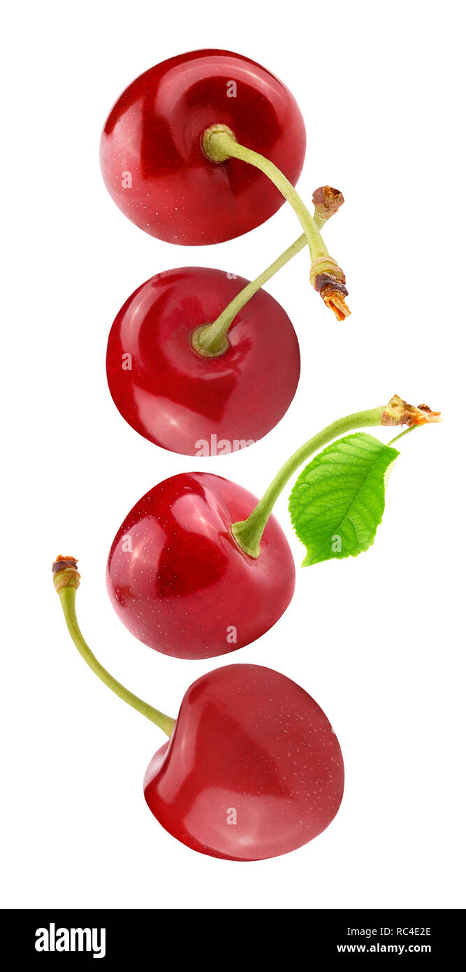 Flying fresh cherry berries isolated on white  Stock Photo