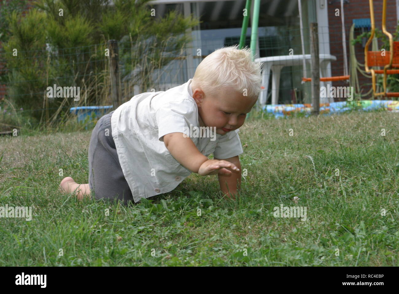 Side view little baby boy crawling in back garden in summer Stock Photo