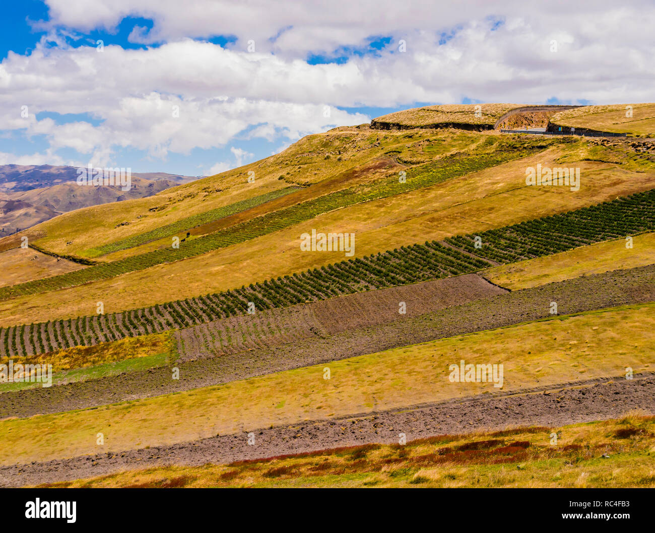 Ecuador, amazing andean landscape between Zumbahua canyon and Quilotoa lagoon with multicolored fields Stock Photo