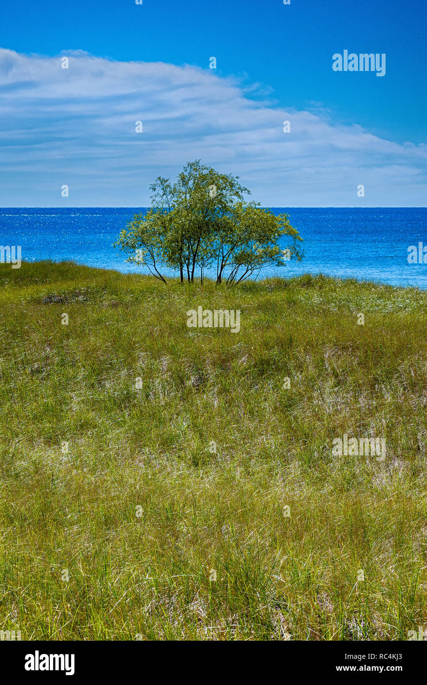 Saugatuck dunes state park hi-res stock photography and images - Alamy, image size:866x1390