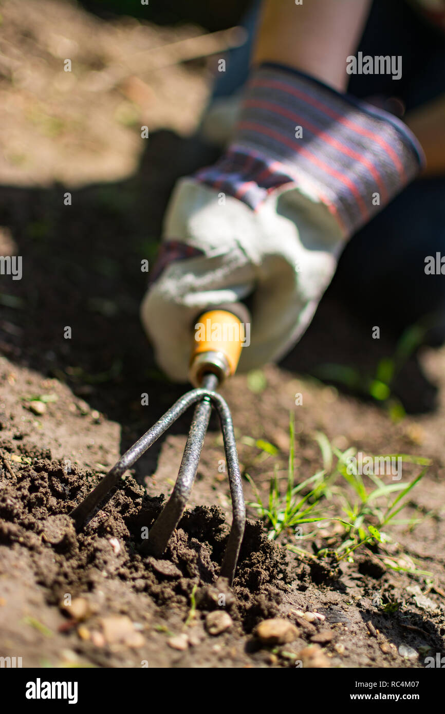 Clearing weeds hi-res stock photography and images - Alamy