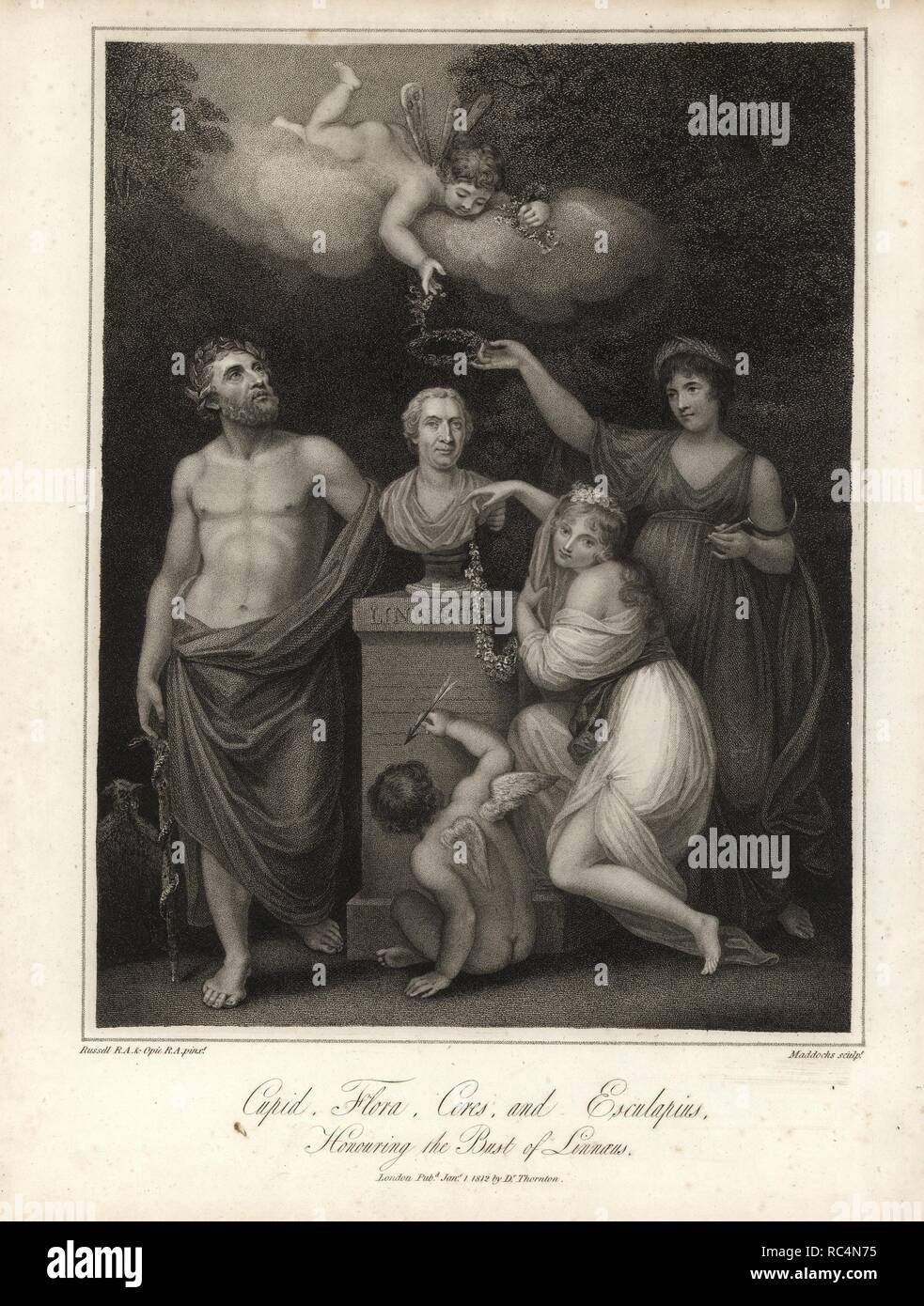 Cupid, Flora, Ceres and Esculapius honouring the bust of Linnaeus.. Stipple engraving by Maddochs from a painting by Russell and Opie from Dr. Robert John Thornton's 'Temple of Flora,' 1812, Lottery or quarto edition. The illustrations were a mix of aquatint, mezzotint and stipple engravings finished by hand. Dr. Thornton (1768?-1837) was a botanist and publisher who bankrupted himself producing what is now regarded as the greatest English botanical book. Stock Photo