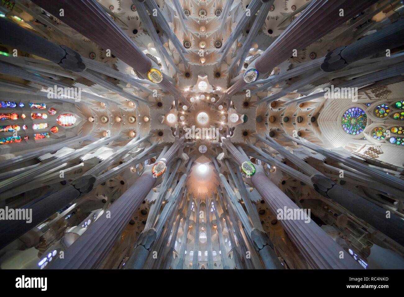 Barcelona, Catalonia, Spain. Basilica of the Sagrada Familia, by Antonio Gaudi (1852-1926). Interior. Central nave. Forms and geometries inspired by nature. Modernist style. Stock Photo