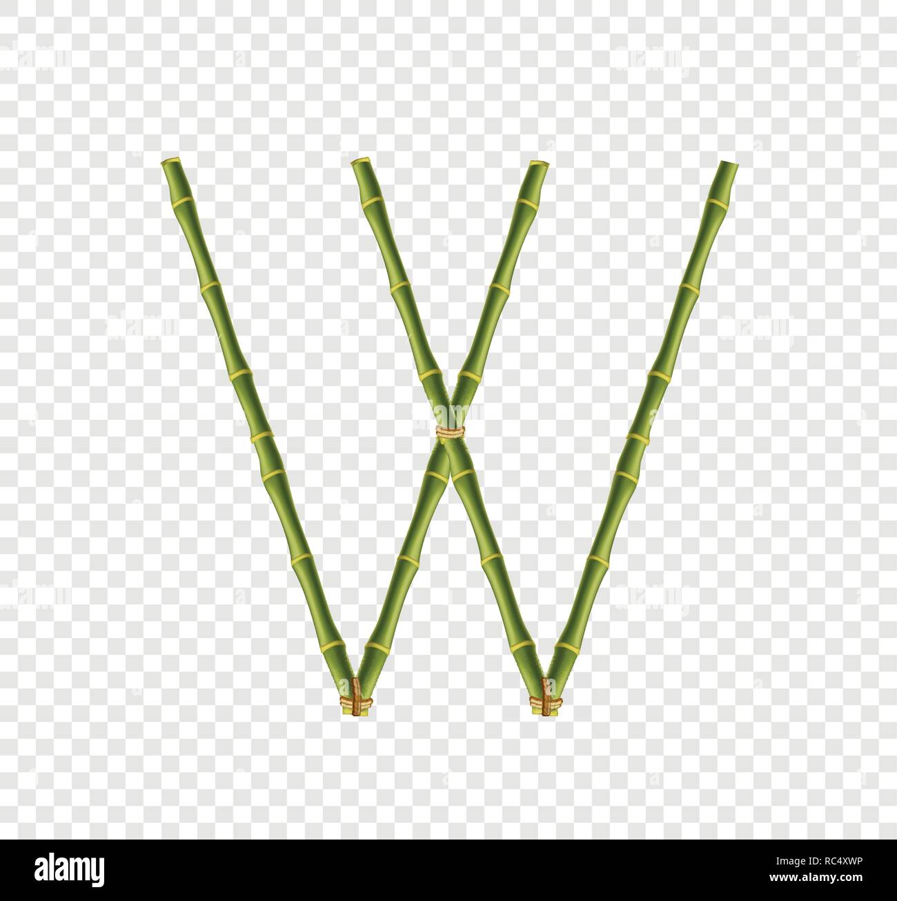 Vector bamboo alphabet. Capital letter W made of realistic green bamboo ...