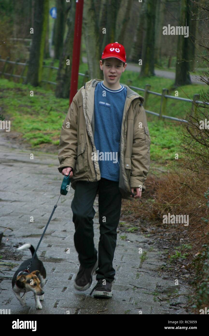 Teenage boy walk the pulling dog on a leash, front view, full body shot, in winter in park. Stock Photo