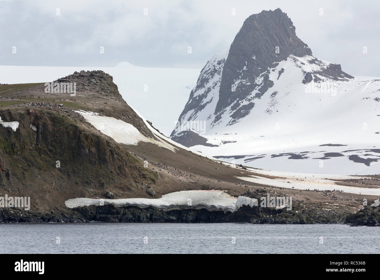 Tarctica Nature and landscapes of Antarctica. Studying of a phenomenon of global ...