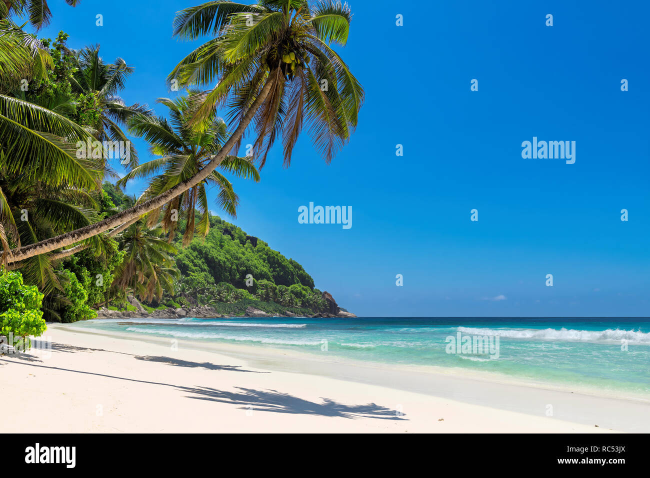 Sandy beach with coco palm and turquoise sea. Stock Photo
