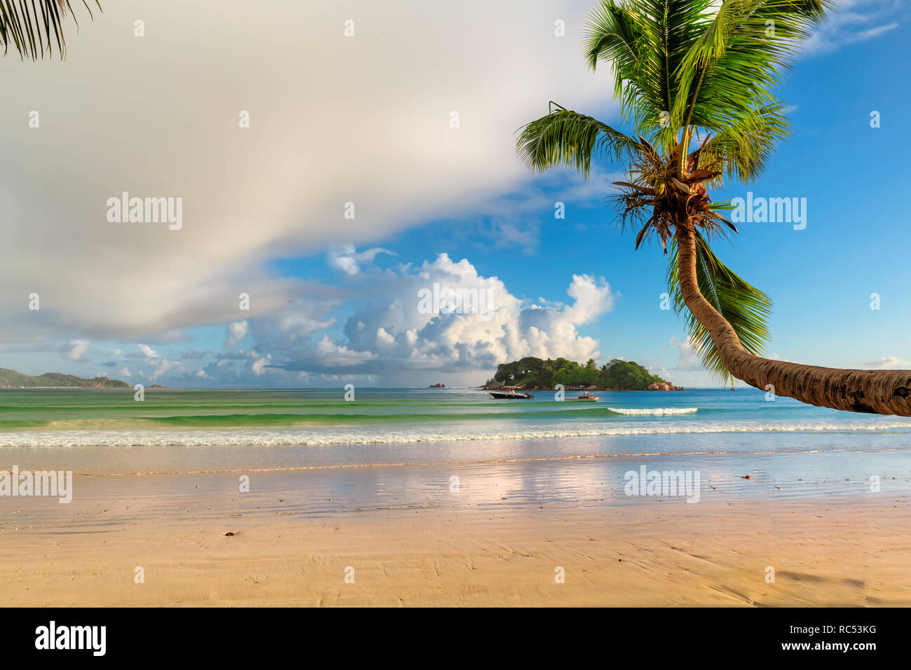 Coco beach goa hires stock photography and images Alamy