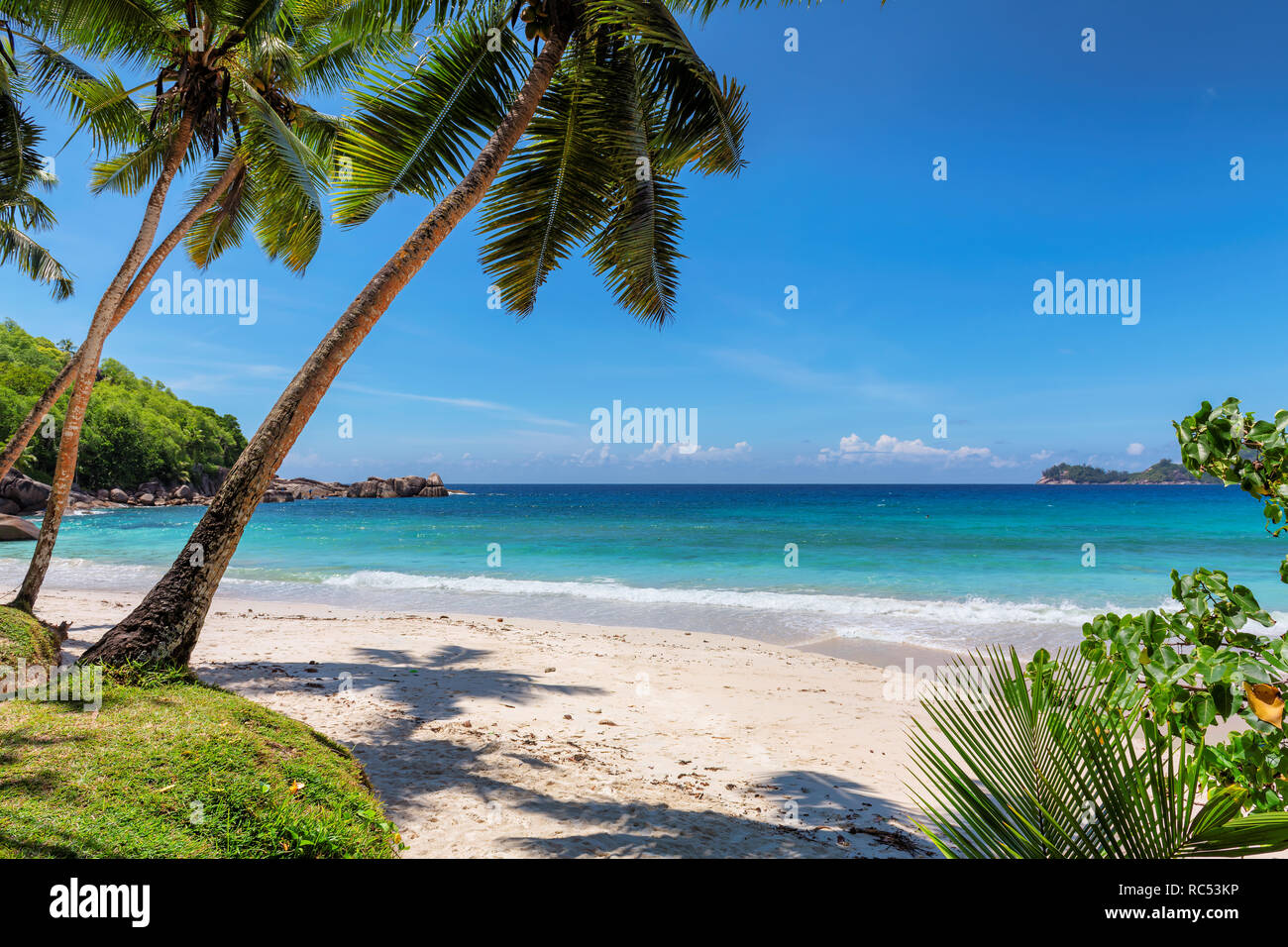 Caribbean sea water tropics hi-res stock photography and images - Alamy