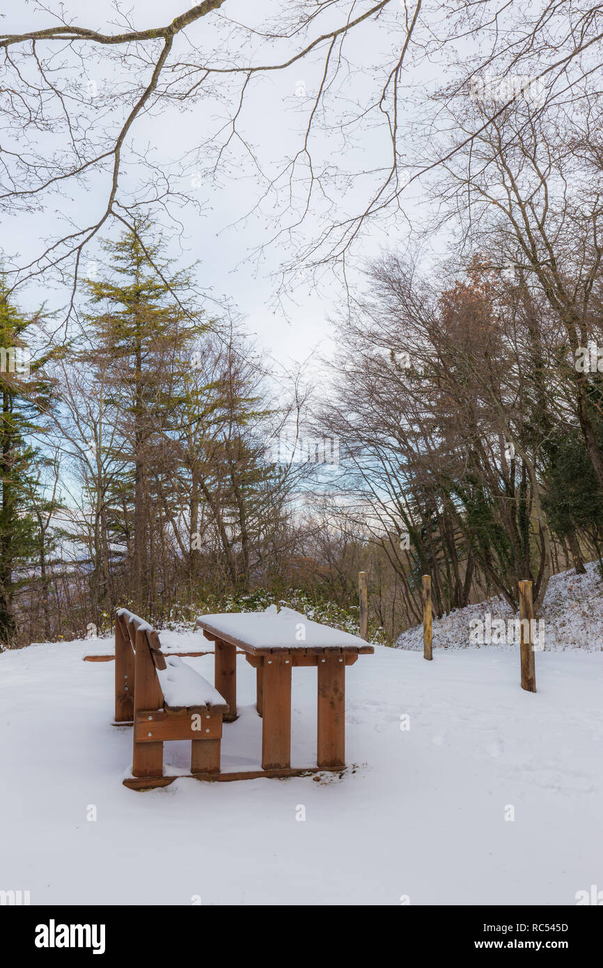 A Park In Winter With Trees And A Table And Sitting Bench Covered