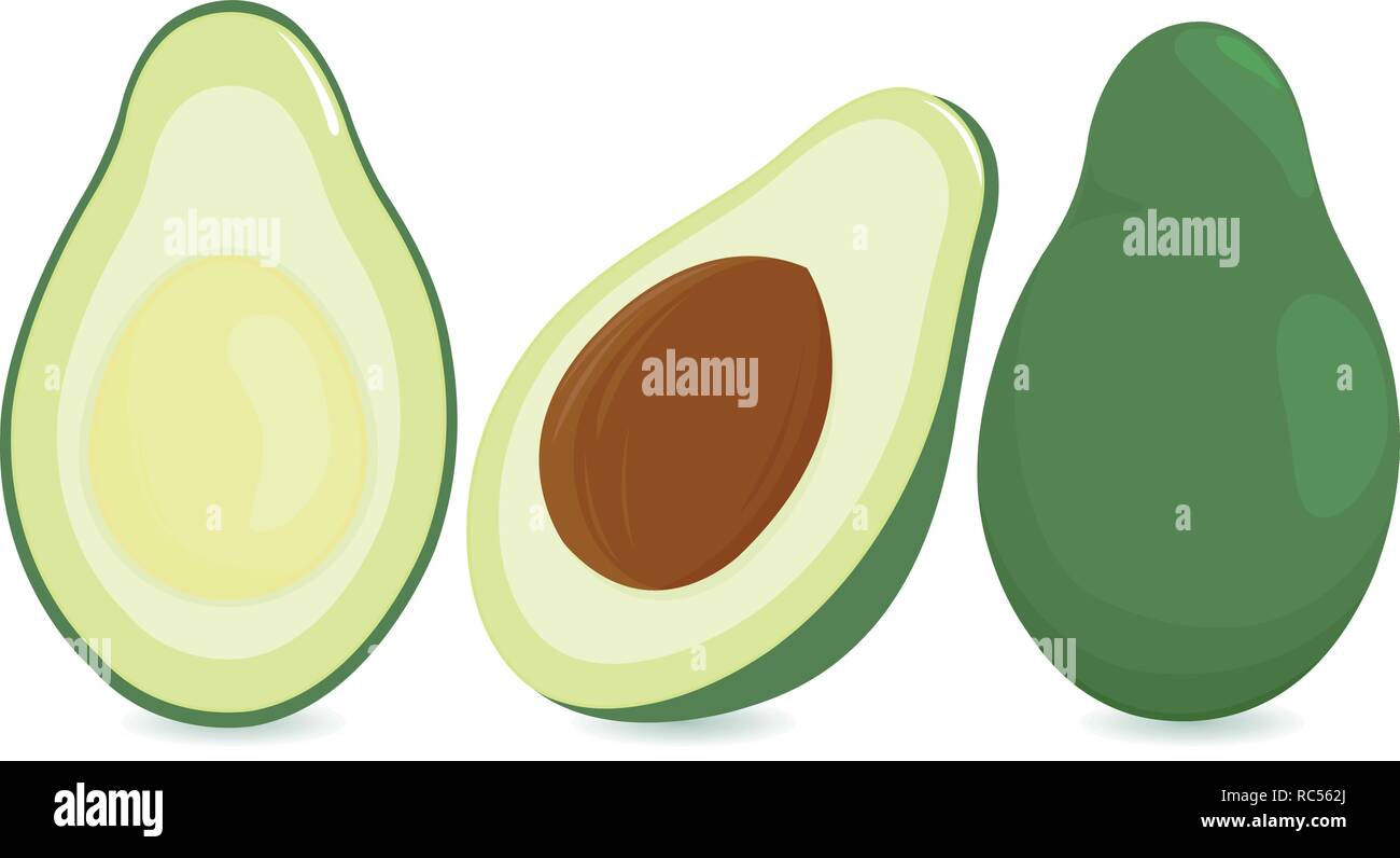 Vector Illustration of a whole and cut in half avocado fruit Stock ...