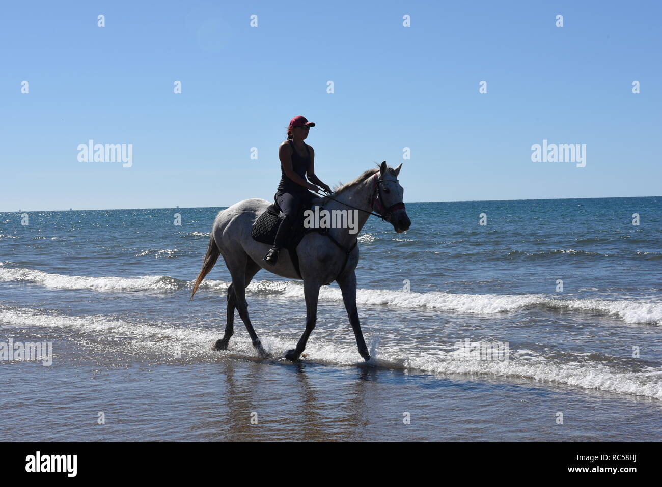 Horse riding on Sarina Beach Stock Photo Alamy