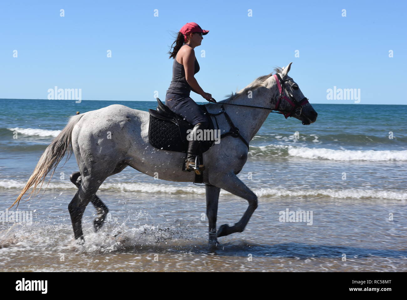 Horse riding on Sarina Beach, Queensland, Australia Stock Photo Alamy