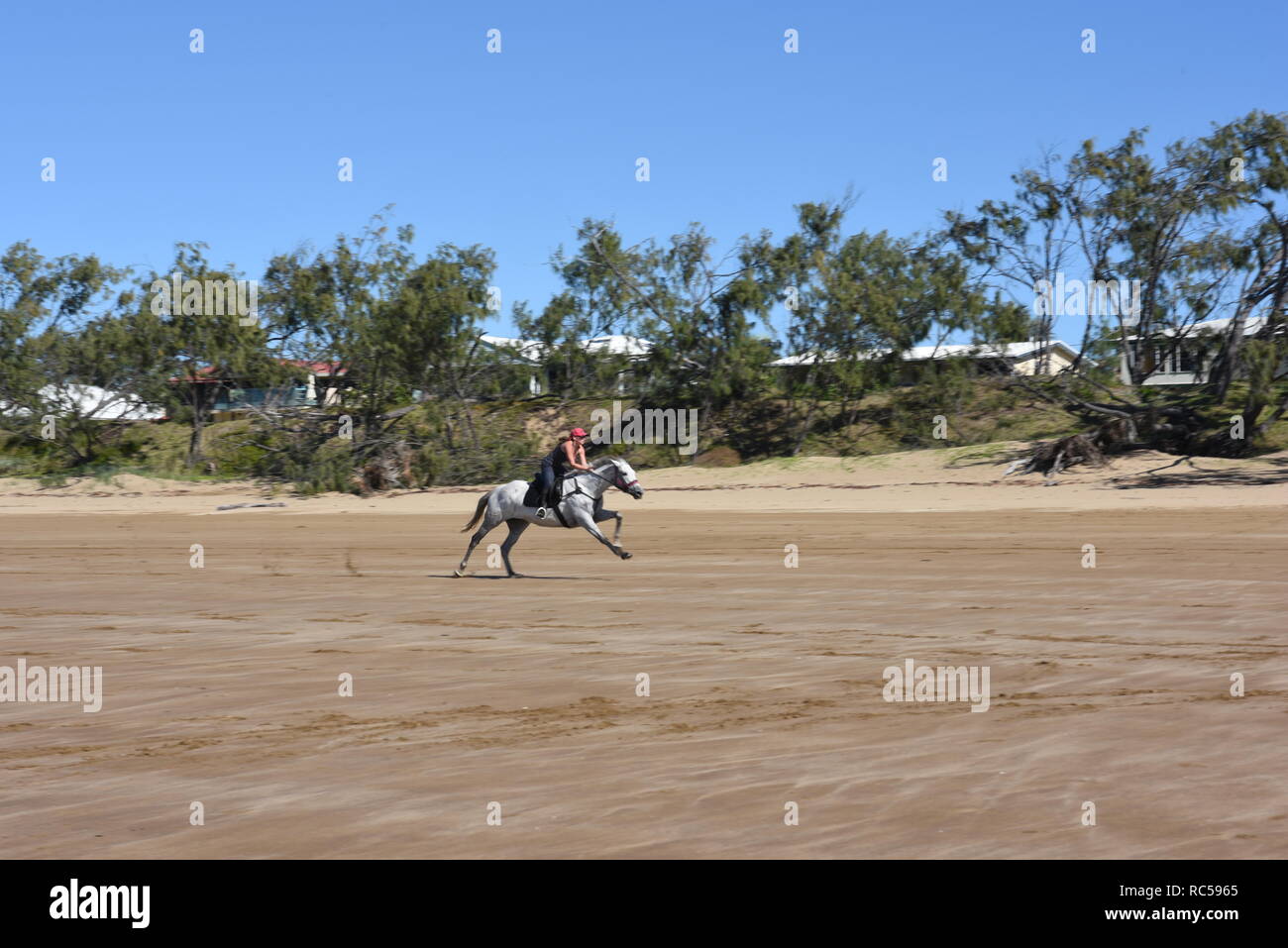 Horse riding on Sarina Beach, Queensland, Australia Stock Photo Alamy