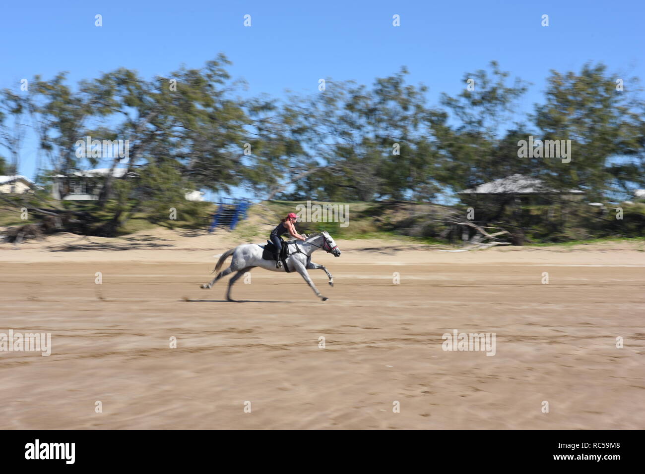 Horse riding on Sarina Beach, Queensland, Australia Stock Photo Alamy