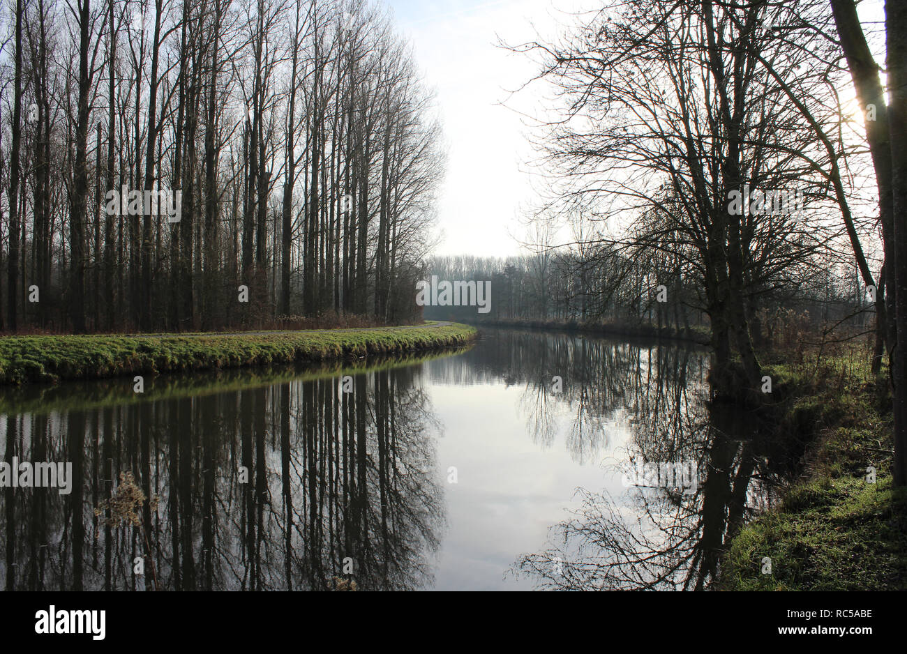 Lovely winter view of the River Dender and trees reflected in the water, as it flows near Welle in East Flanders in Belgium. Stock Photo