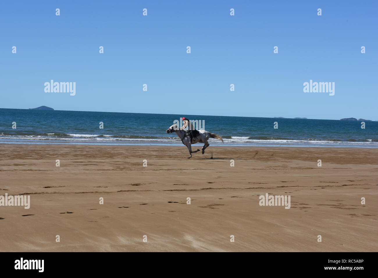 Horse riding on Sarina Beach, Queensland, Australia Stock Photo Alamy