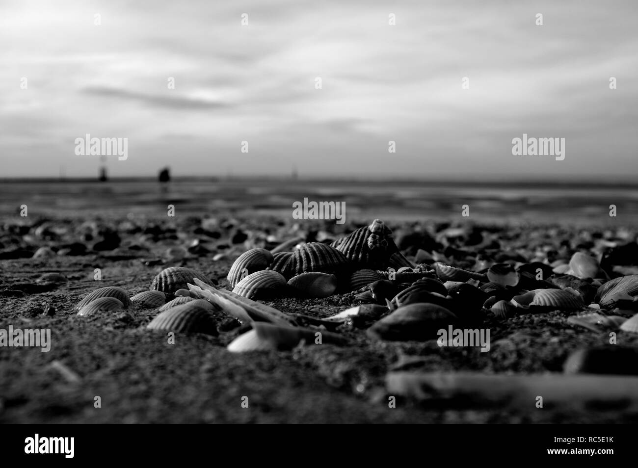 Rural scene in normandy Black and White Stock Photos & Images - Alamy