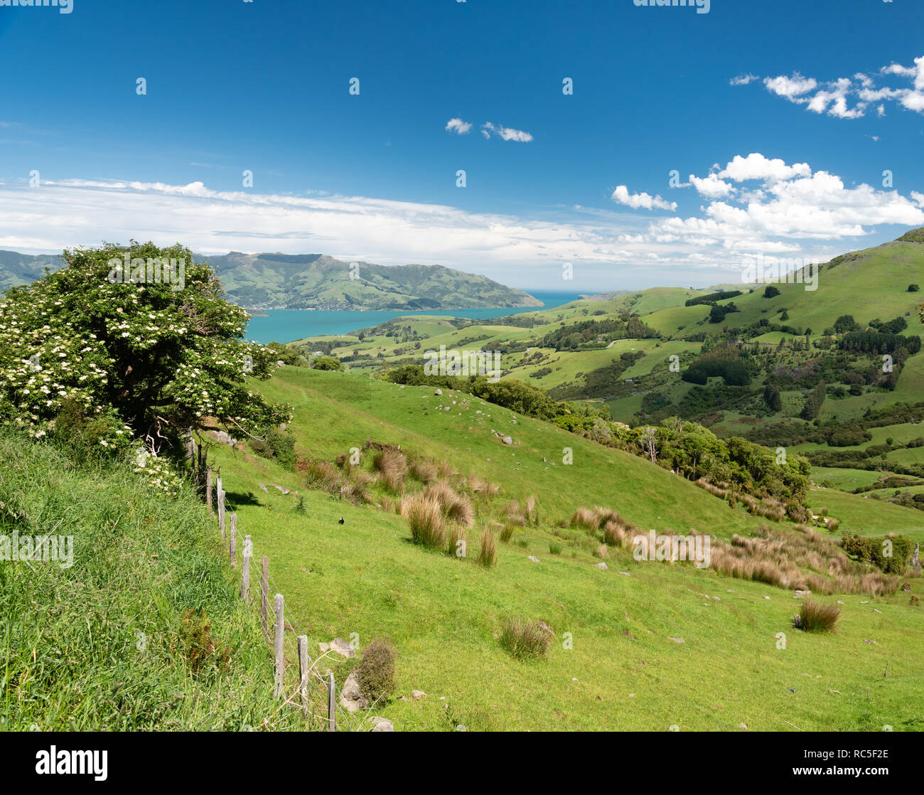 Banks Peninsula, South Island, New Zealand Stock Photo