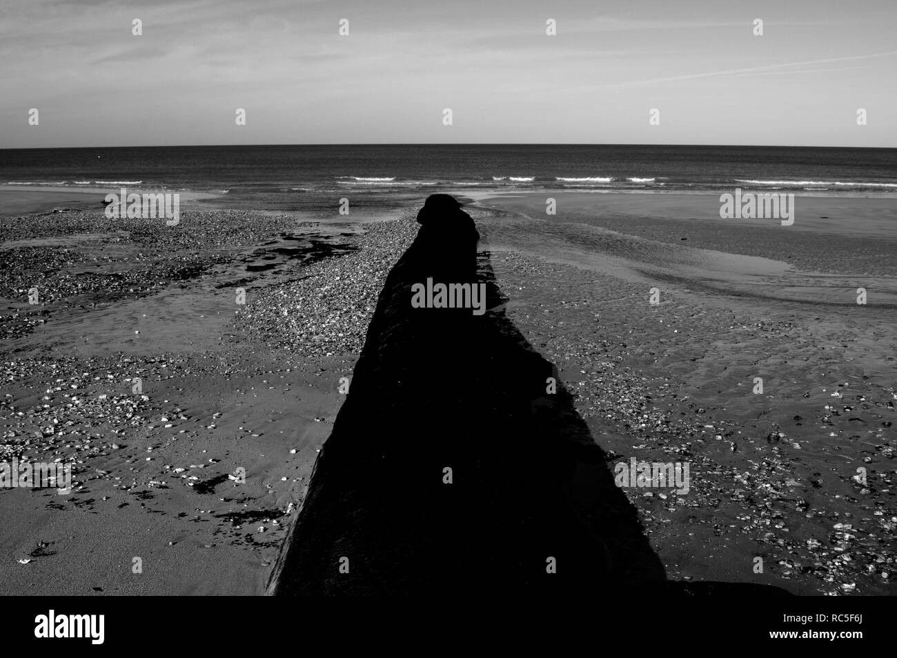 Rural scene in normandy Black and White Stock Photos & Images - Alamy