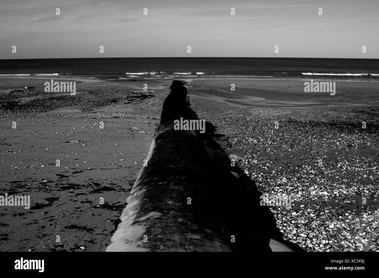 Rural scene in normandy Black and White Stock Photos & Images - Alamy