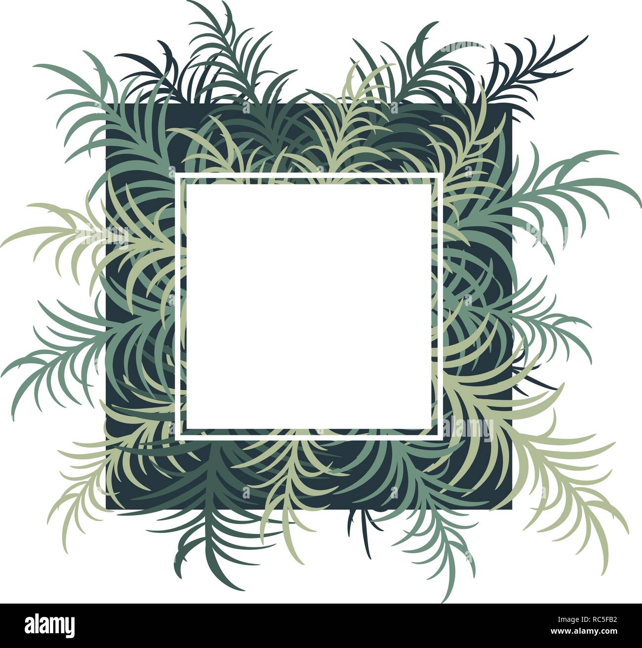 Botanical card with palm leaves. Vector image. Eps 10 Stock Vector