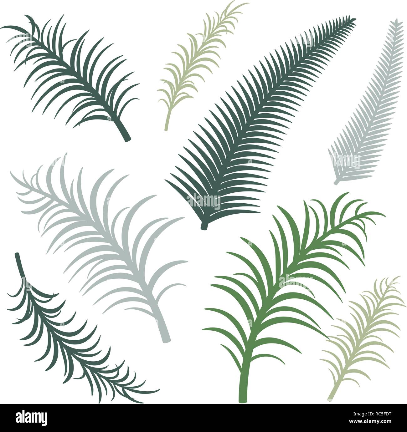 Different versions of palm branches. Vector image. Eps 10 Stock Vector