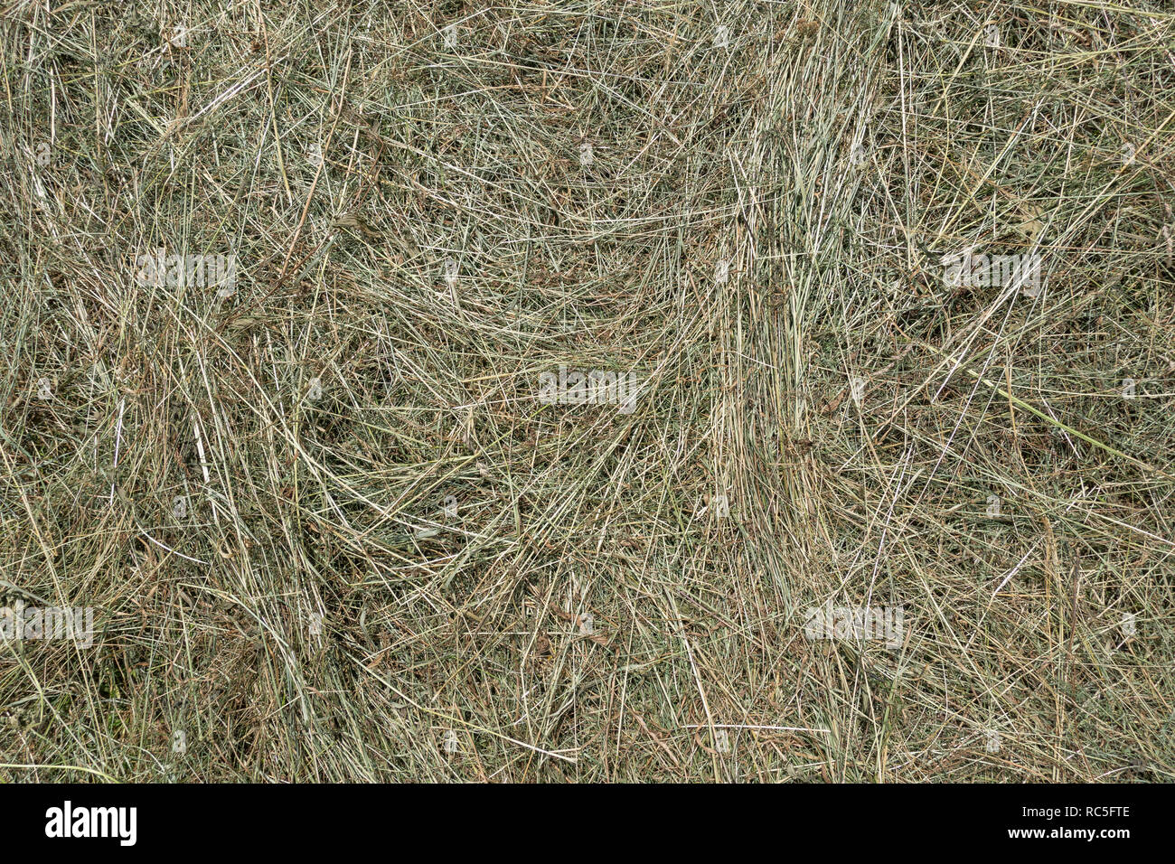 Drying Hay Stock Photos & Drying Hay Stock Images Alamy