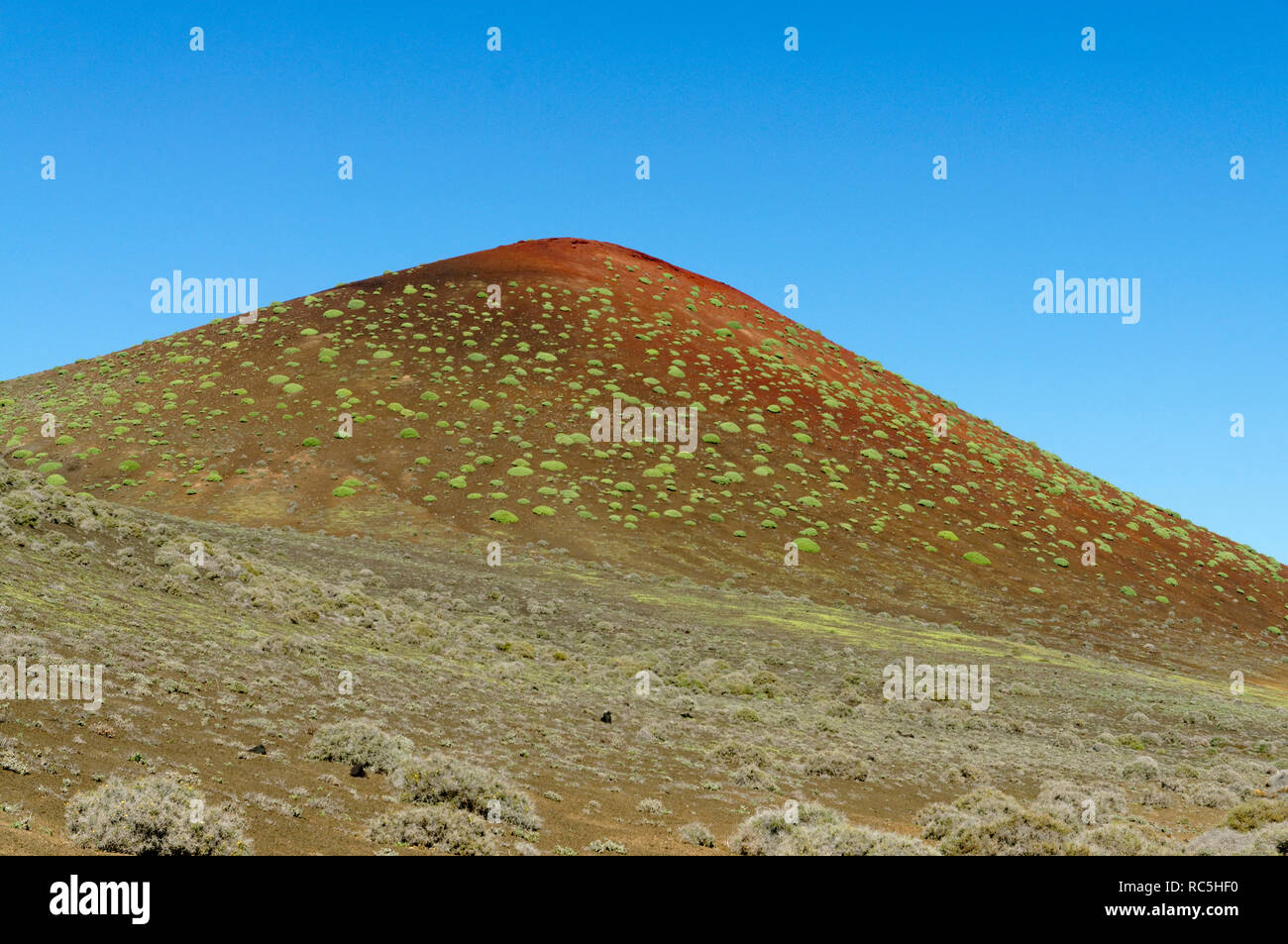 Volcanic hill covered in vegitation, near El golfo, Canary Islands, Spain. Stock Photo