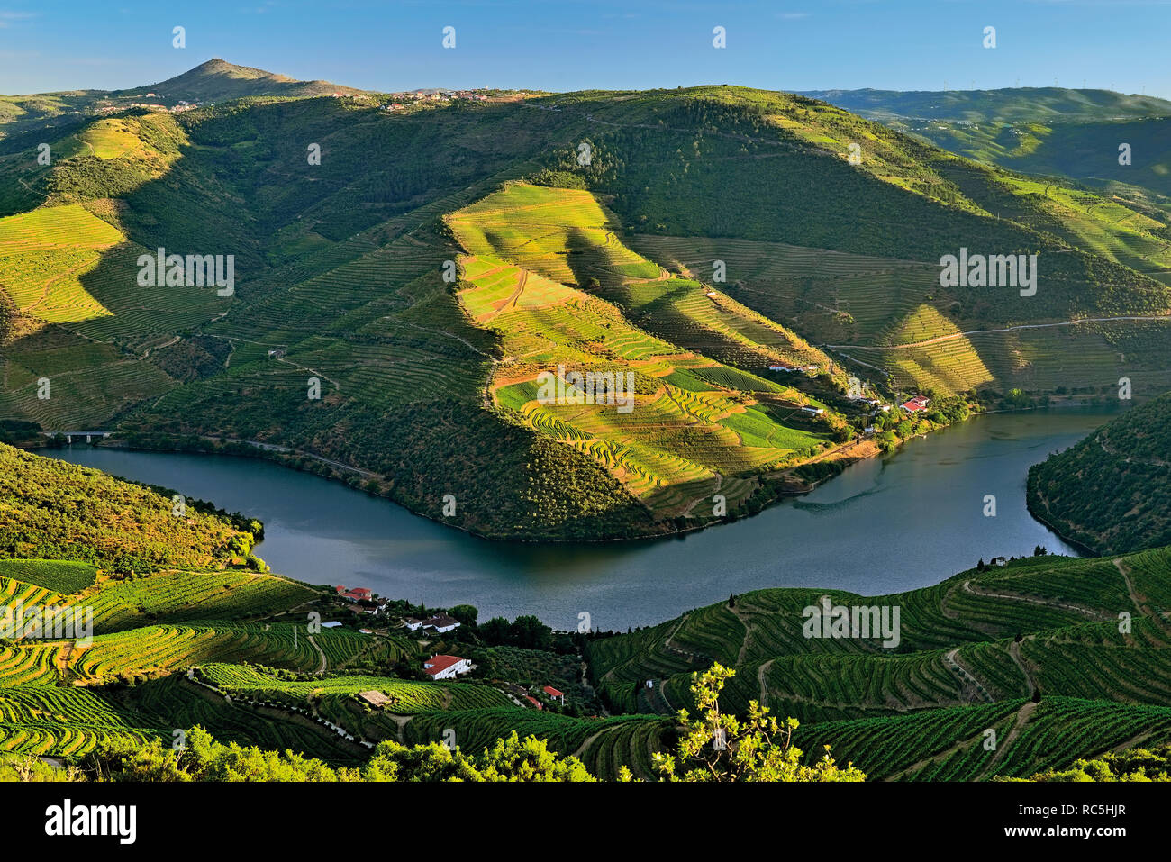 Scenic view of  a green river valley with wine terraces and vinyards Stock Photo