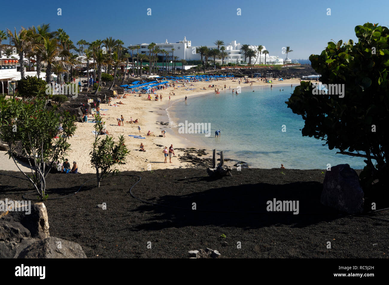 Playa Flamingo Beach Playa Blanca Lanzarote Canary Islands