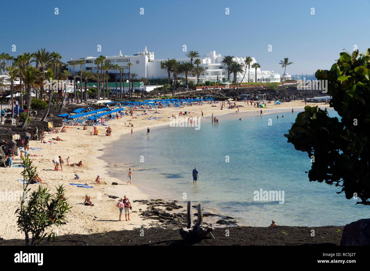 Playa Flamingo Beach Playa Blanca Lanzarote Canary Islands