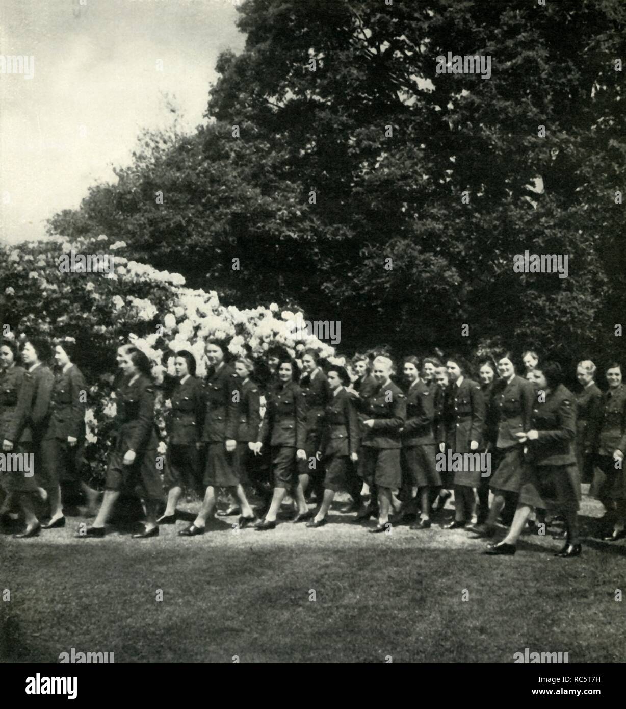 World War Ii Women Waaf Stock Photos & World War Ii Women Waaf Stock