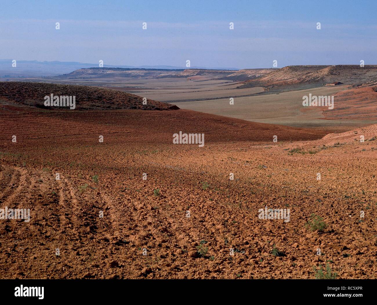 Panoramica campo hi-res stock photography and images - Alamy