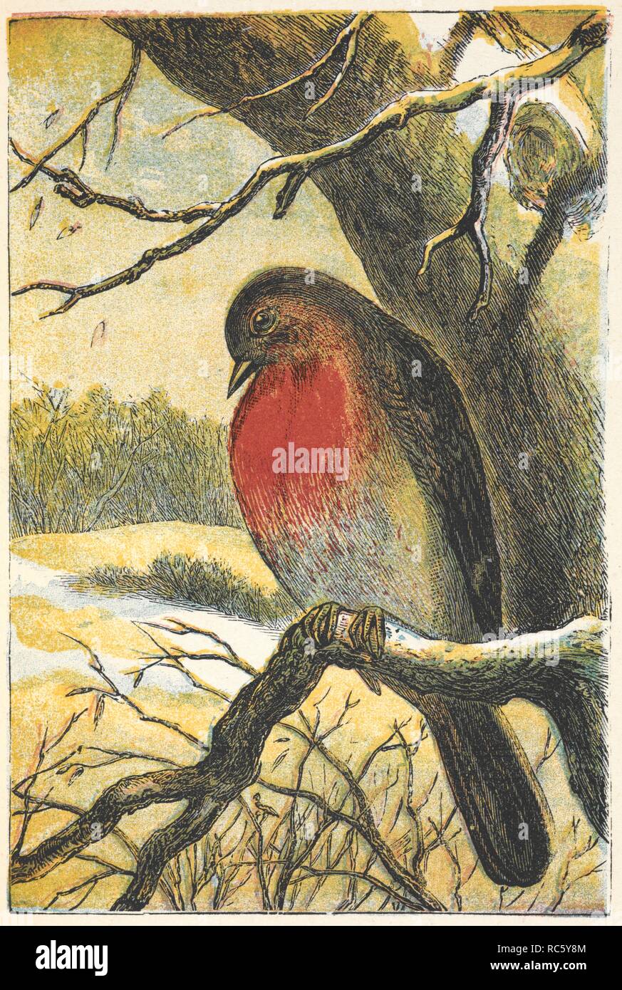 A robin in a snowy landscape. The Robin Redbreast Picture Book. With ... illustrations. London ; New York, [1873]. Source: 12803.aaa.62. plate 5. Author: ANON. Stock Photo