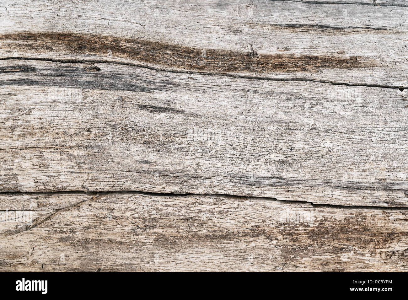 Texture of the old pine boards with cracks Stock Photo Alamy