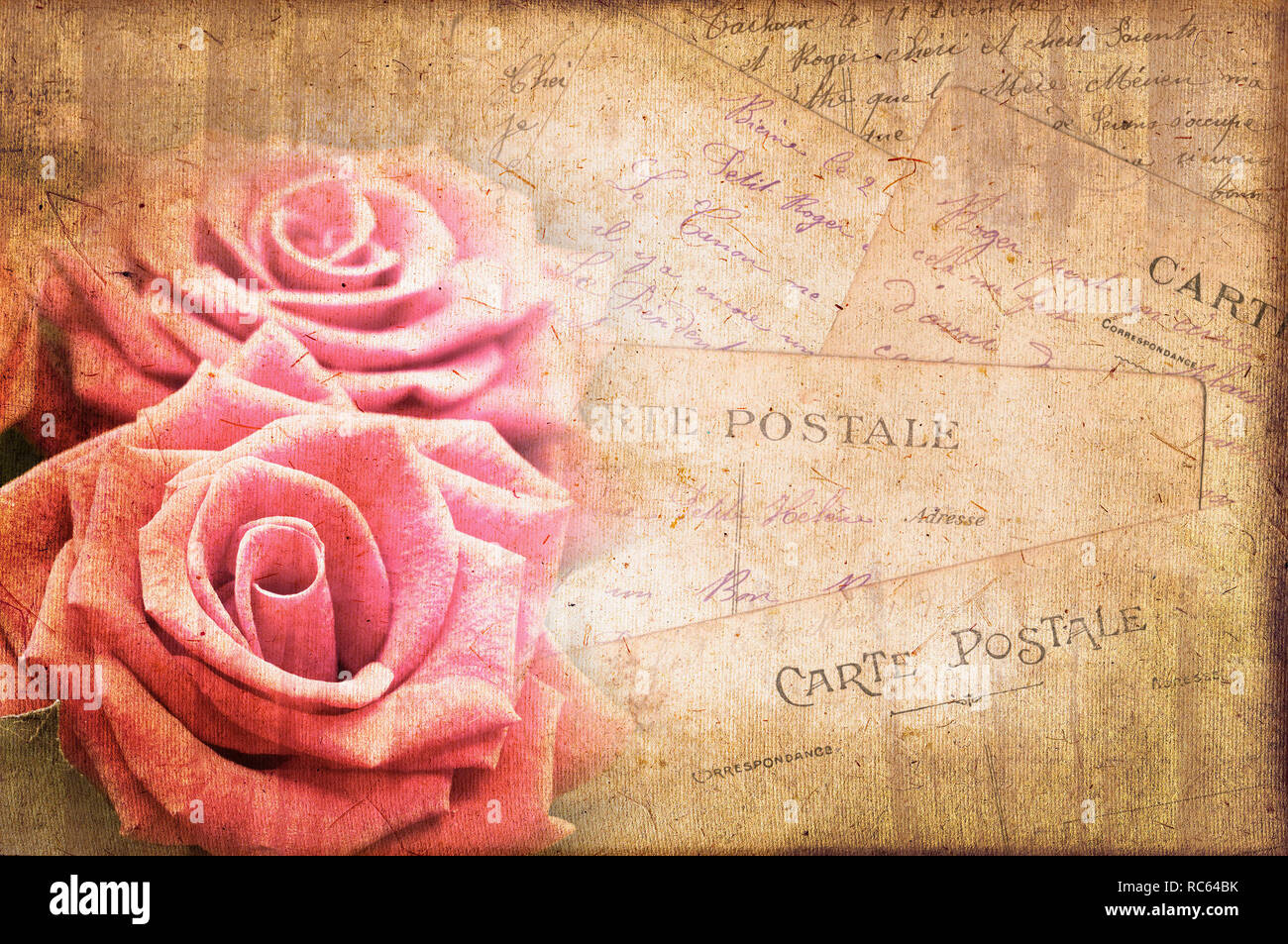Pink roses, vintage postcard on textured parchment background Stock ...