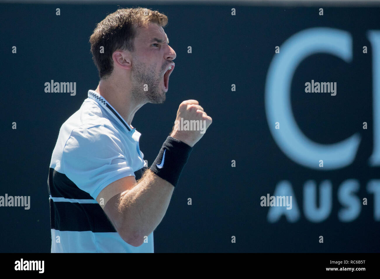 Janko Tipsarevic of Serbia celebrates after beating Radek Stepanek of Czech  Republic during their Davis Cup semifinal match in Belgrade, Serbia,  Sunday, Sept. 19, 2010. (AP Photo/Darko Vojinovic Stock Photo - Alamy, image size:1300x956