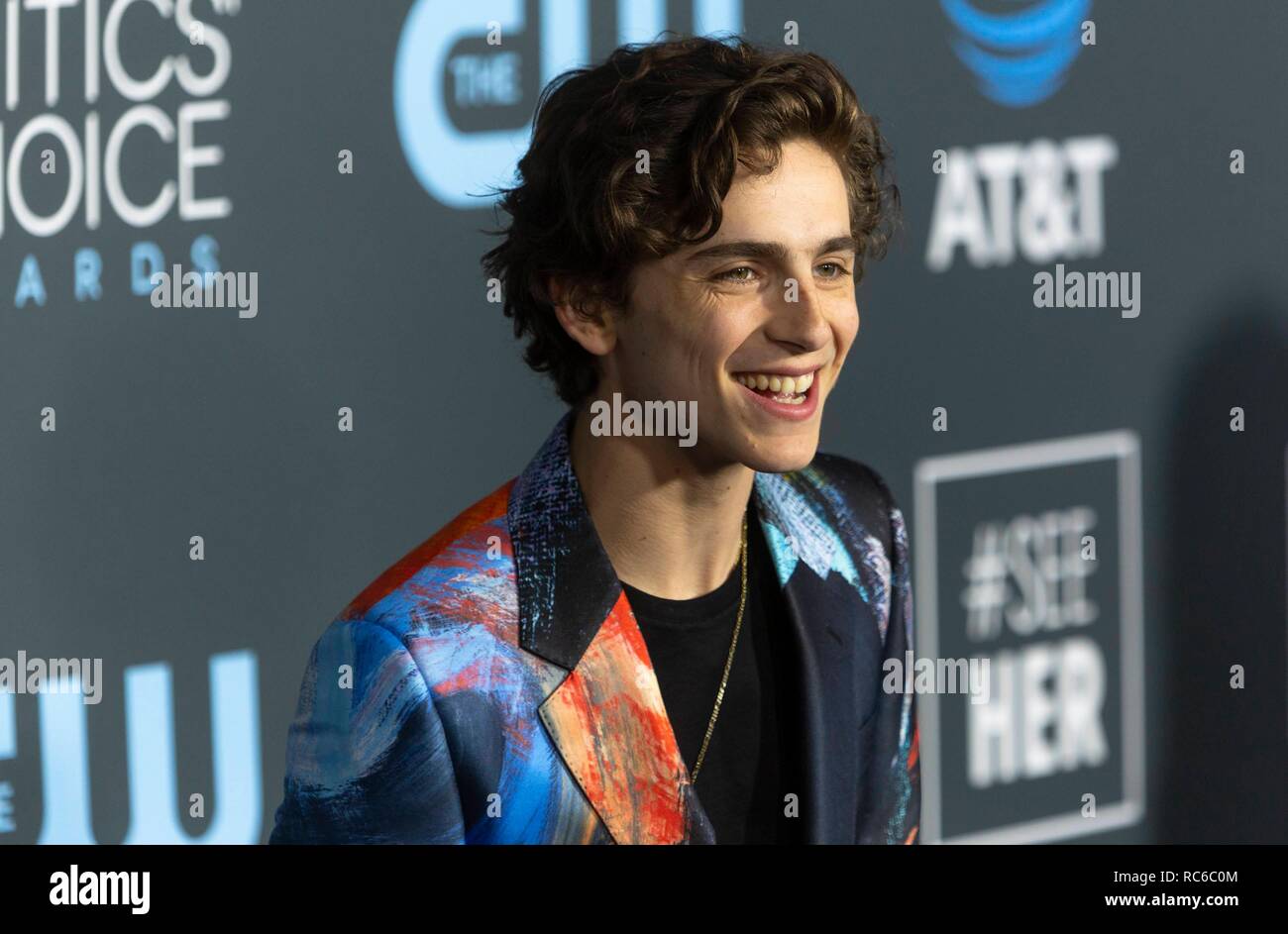 Timothee Chalamet attends the 24th Annual Critics' Choice Awards at ...