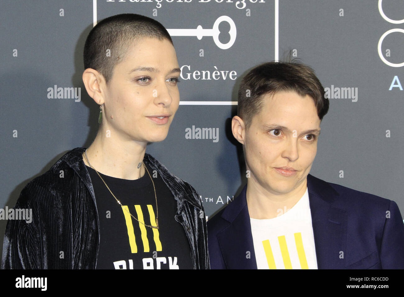 Santa Monica, CA, USA. 13th Jan, 2019. LOS ANGELES - JAN 13: Asia Kate Dillon, Corinne at the Critics Choice Awards at the Barker Hanger on January 13, 2019 in Santa Monica, CA Credit: Kay Blake/ZUMA Wire/Alamy Live News Stock Photo