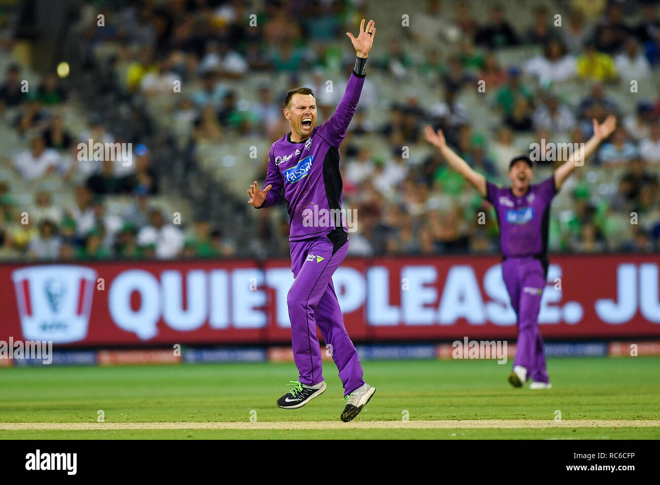 Hobart hurricanes hi-res stock photography and images - Alamy