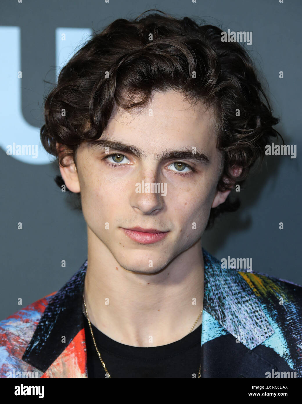Timothee chalamet hi-res stock photography and images - Alamy