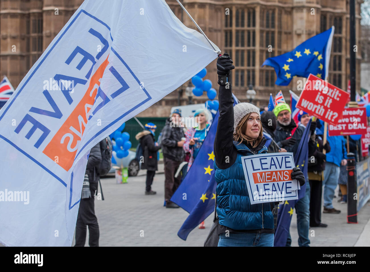 London, UK. 14th January, 2019. A woman, against the increasing centralisation of the EU, is diappointed in Parliament and is frustrated that she feels she has to come and protest against the possibility that the referendum result will be overturned - Leave means leave and SODEM, pro EU, protestors continue to make their points, side by side, outside Parliament as the vote on Theresa May's plan is due the next day. Credit: Guy Bell/Alamy Live News Stock Photo