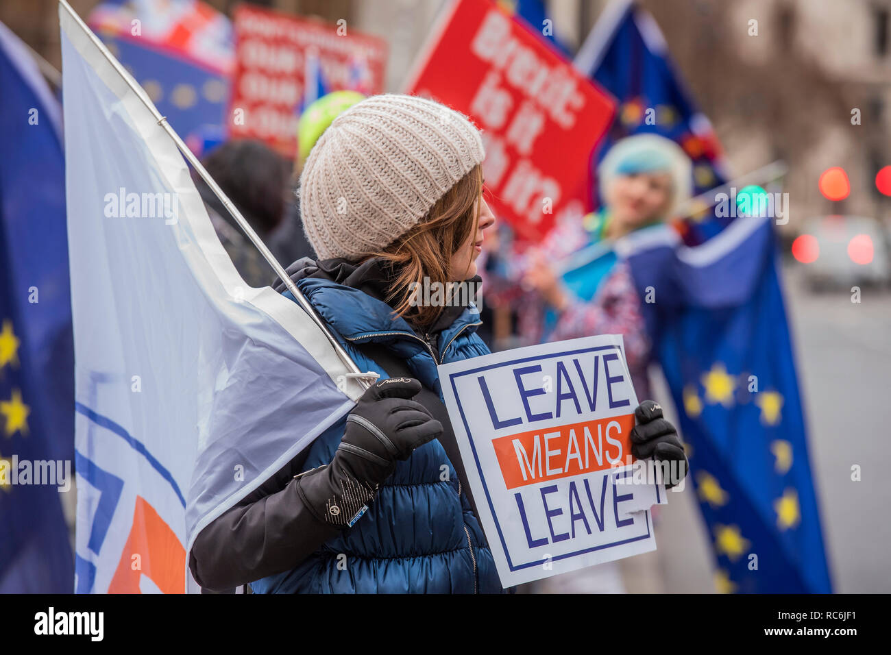 London, UK. 14th January, 2019. A woman, against the increasing centralisation of the EU, is diappointed in Parliament and is frustrated that she feels she has to come and protest against the possibility that the referendum result will be overturned - Leave means leave and SODEM, pro EU, protestors continue to make their points, side by side, outside Parliament as the vote on Theresa May's plan is due the next day. Credit: Guy Bell/Alamy Live News Stock Photo