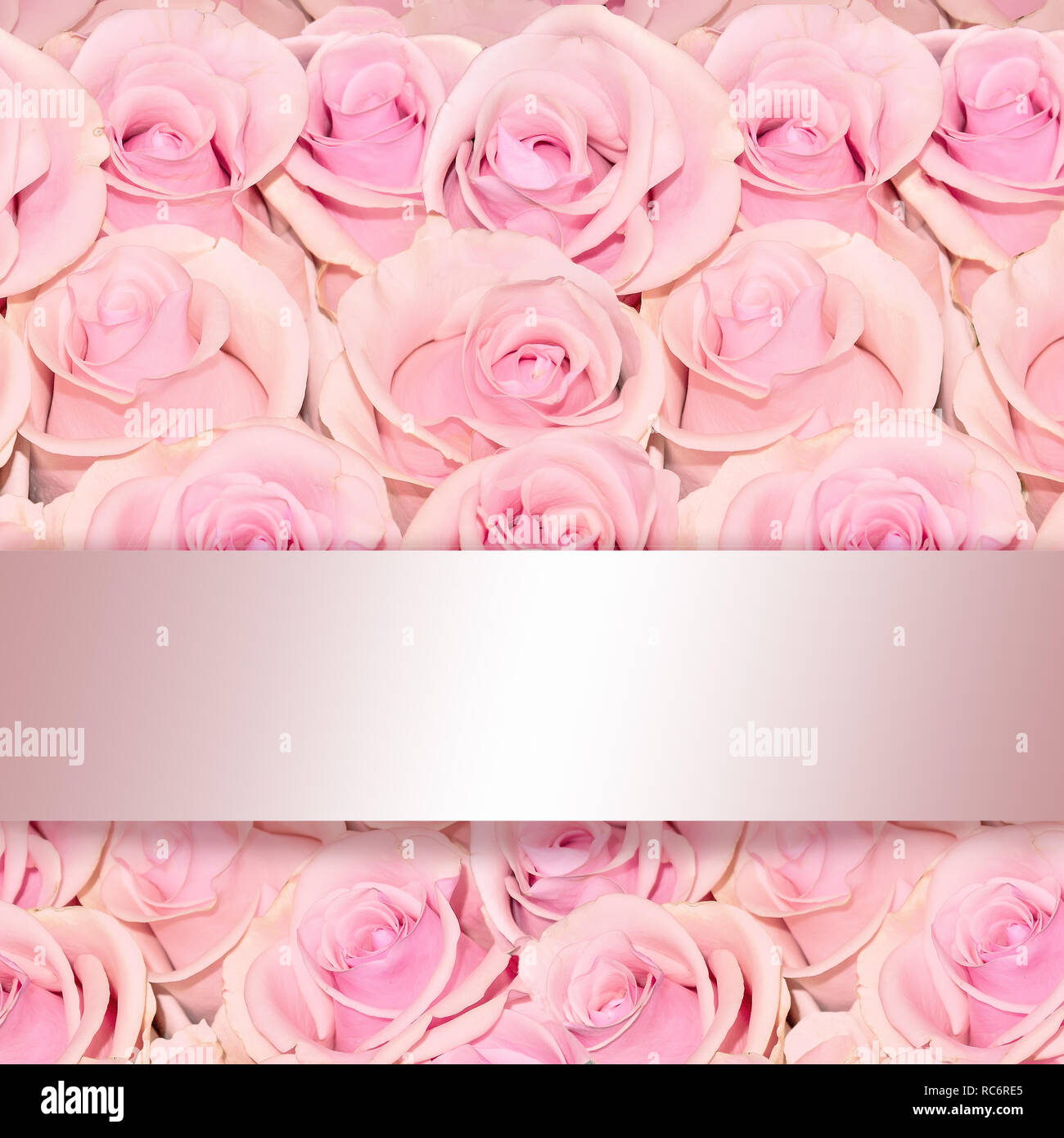 Rose ribbon hi-res stock photography and images - Alamy